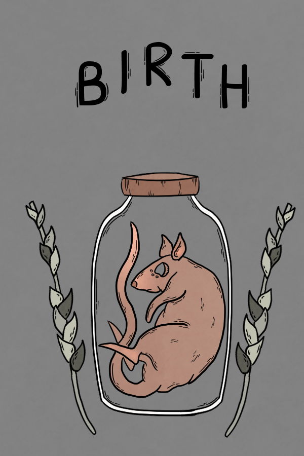 birth